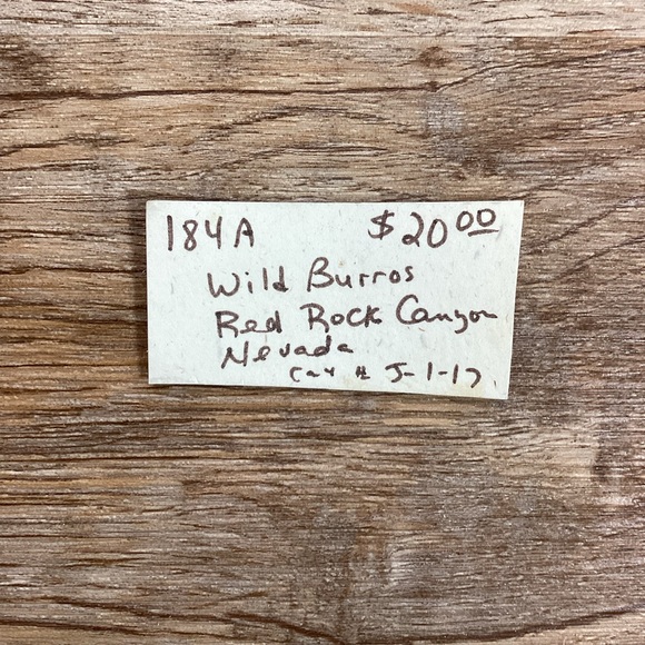 Framed Art Photo Wild Burros, Donkey - Picture 2 of 8